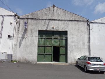 Armazém / Ponta Delgada, Relva