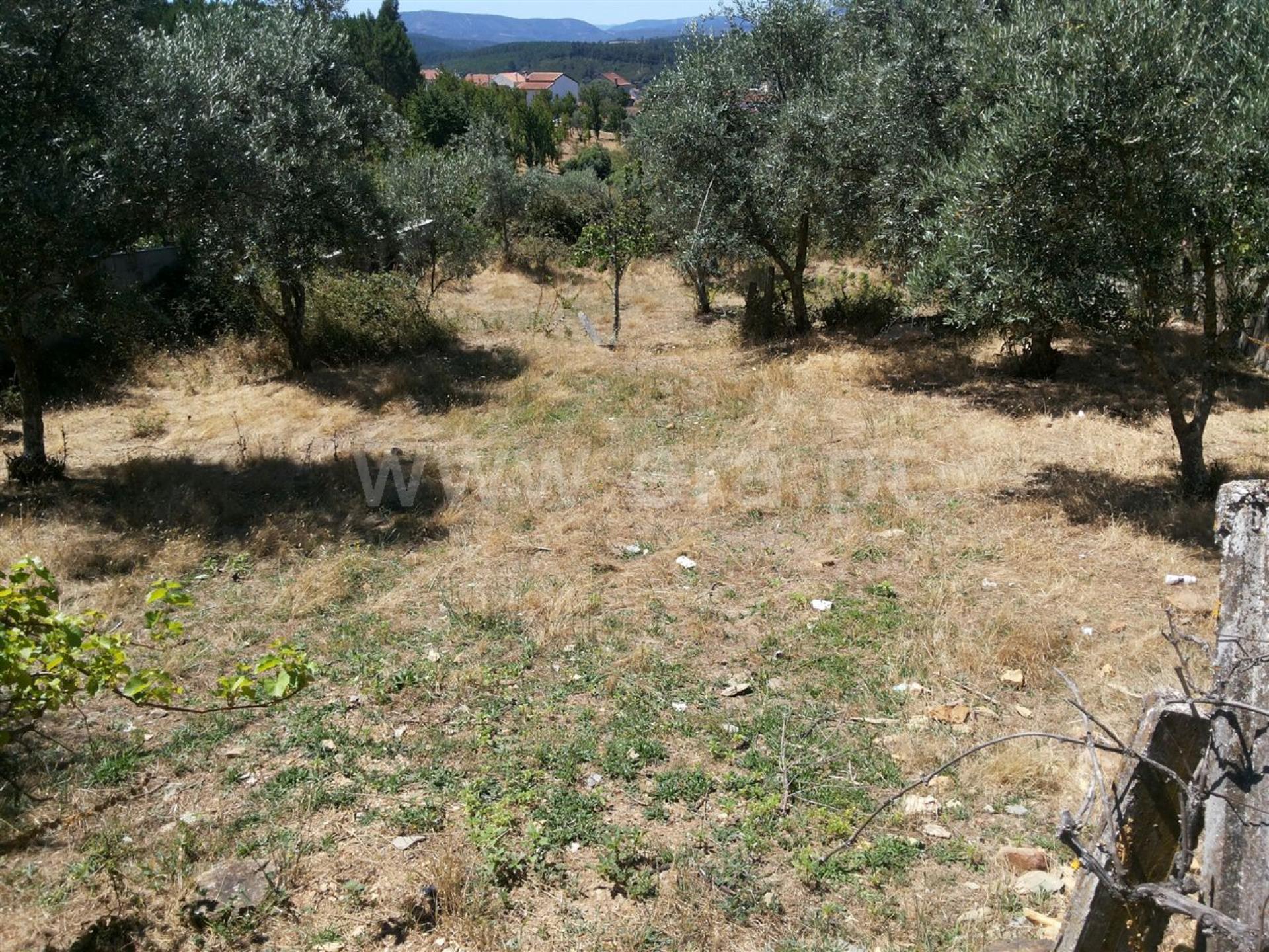 Lote / Covilhã, Paul / Venda / Ref. 111150096