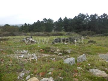 Lote / Guarda, Guarda