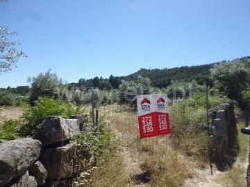 Quinta / Castelo Branco, Louriçal do Campo