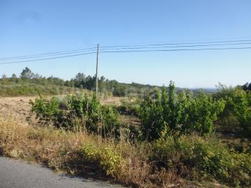 Quinta / Castelo Branco, Tinalhas