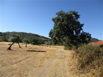 Quinta / Penamacor, Monsanto