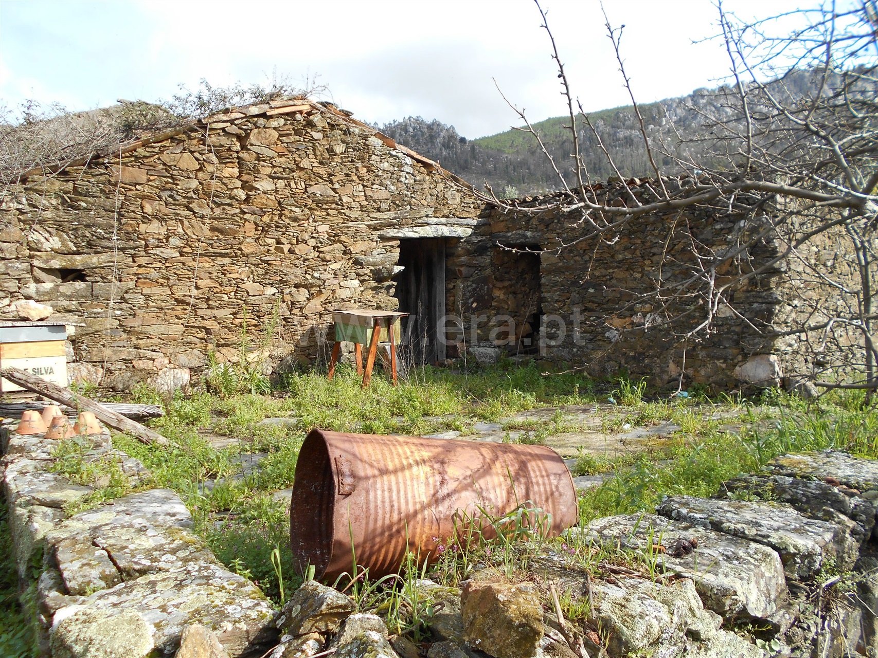 Quinta / Proença-a-Nova, Chão do Galego / Venda / Ref ...