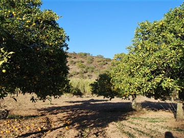 Terreno / Castro Marim, Junqueira