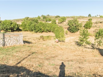 Terreno / Guarda, Maçainhas